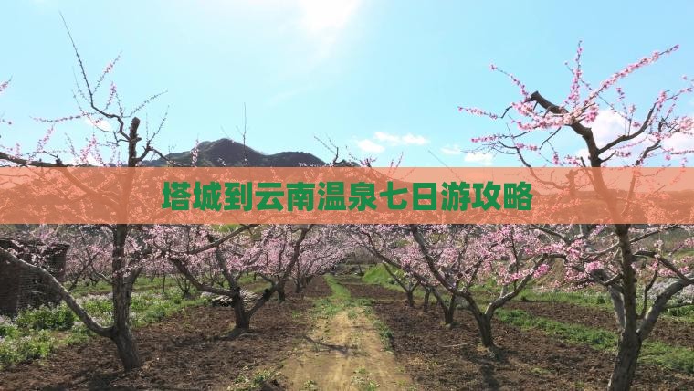 塔城到云南温泉七日游