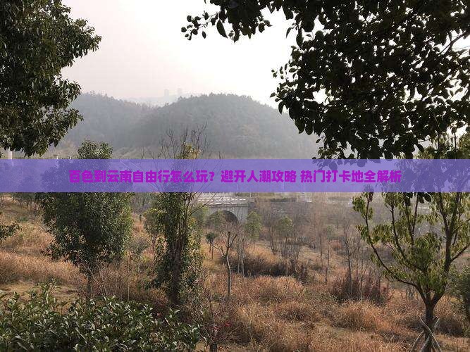 百色到云南自由行