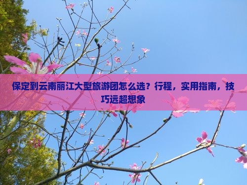 保定到云南丽江大型旅游团