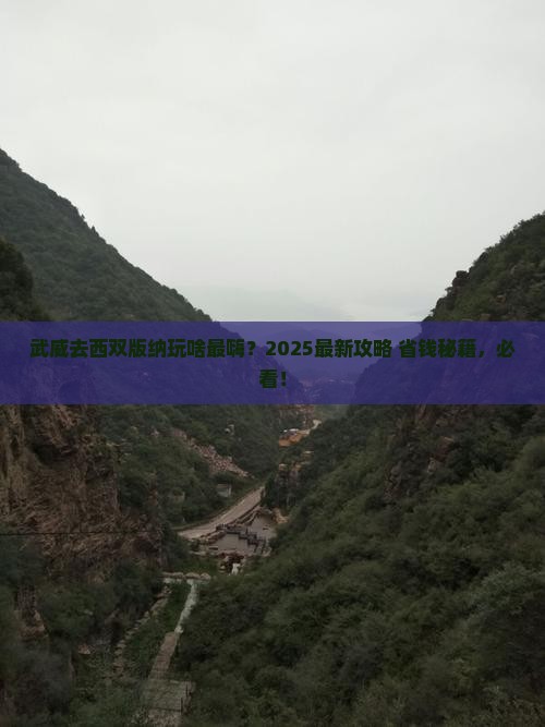 武威到云南西双版纳景点