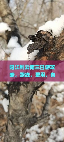 阳江到云南三日游