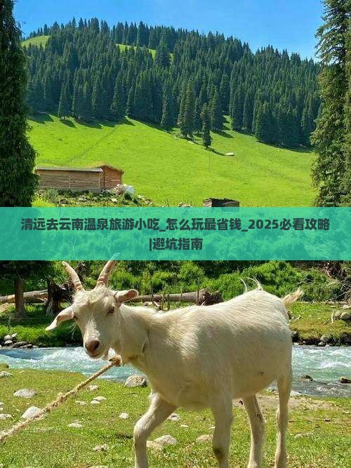 清远去云南温泉旅游小吃