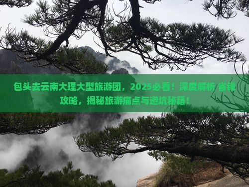 包头去云南大理大型旅游团
