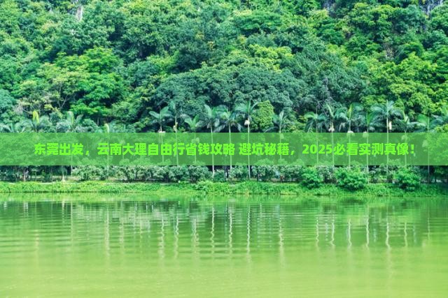 东莞到云南大理自由团