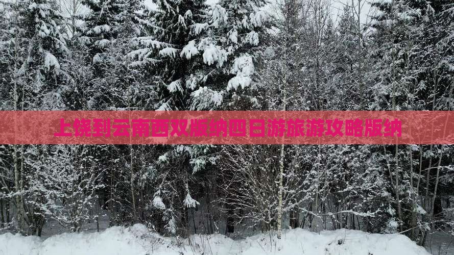 上饶到云南西双版纳四日游