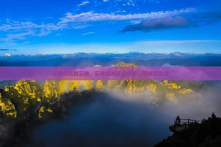 攀枝花去云南古城大型旅游团