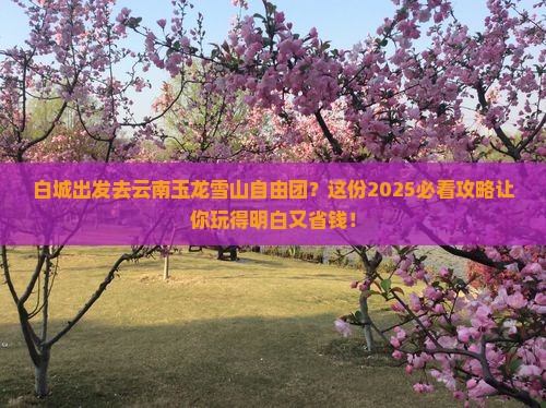 白城去云南玉龙雪山自由团