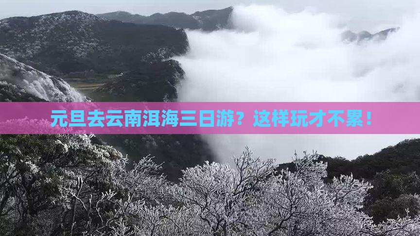 元旦去云南洱海三日游
