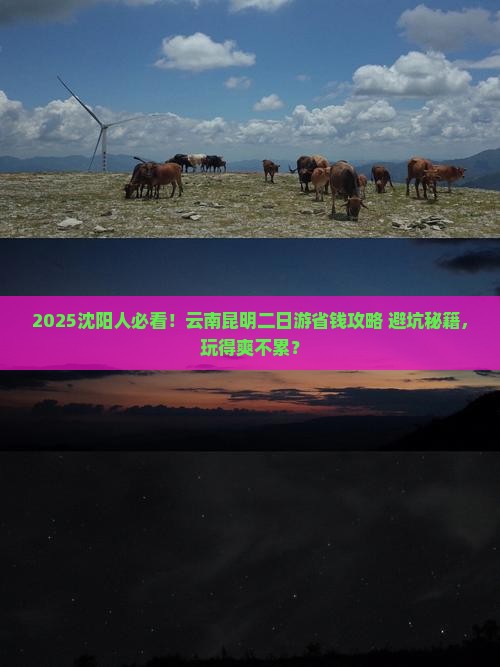 沈阳去云南昆明二日游