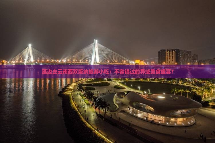 延边去云南西双版纳旅游小吃