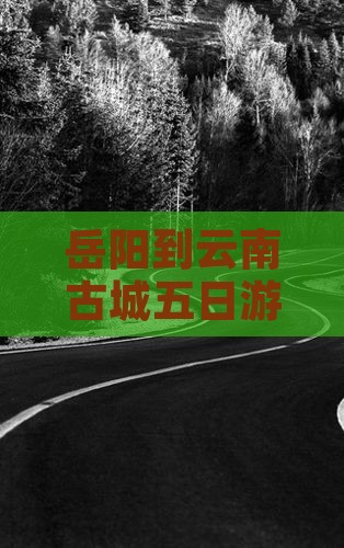 岳阳到云南古城五日游