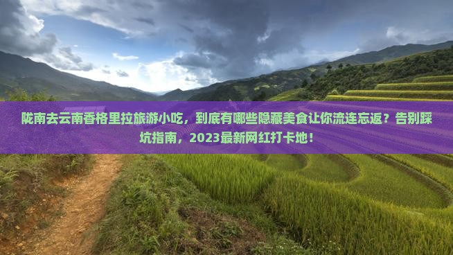 陇南去云南香格里拉旅游小吃