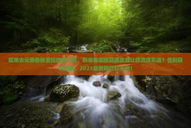 陇南去云南香格里拉旅游小吃