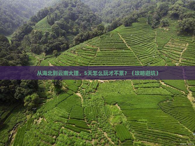 海北到云南大理攻略