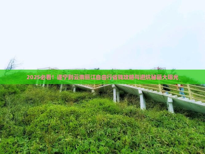 遂宁到云南丽江自由行