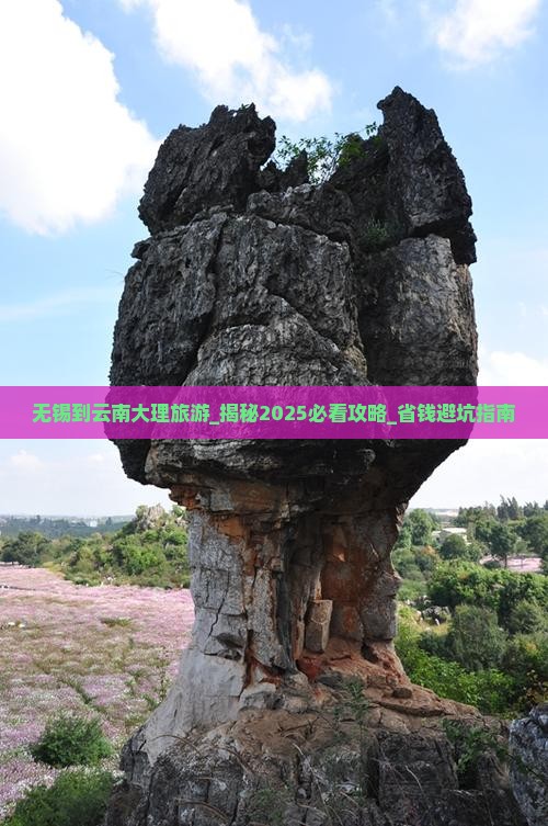 无锡到云南大理旅游