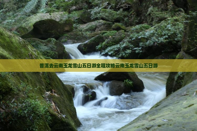 普洱去云南玉龙雪山五日游