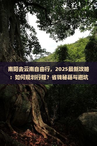 南阳去云南自由行