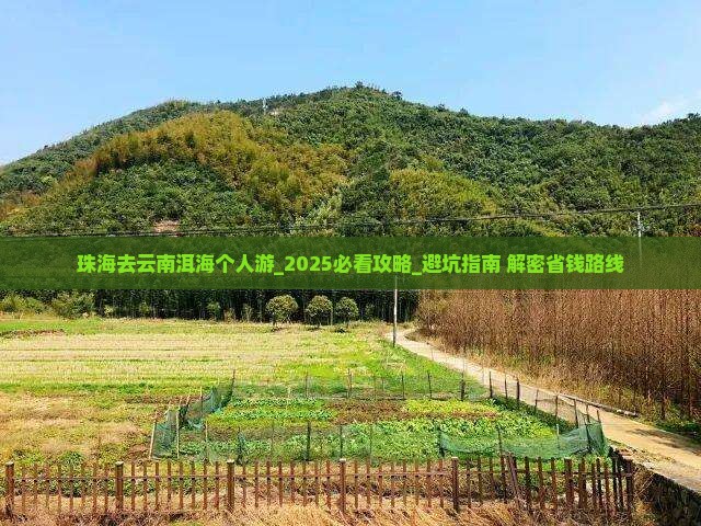 珠海去云南洱海个人游
