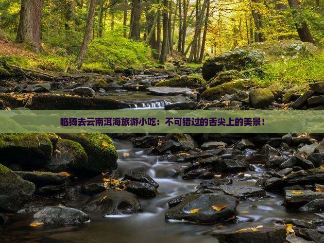 临猗去云南洱海旅游小吃