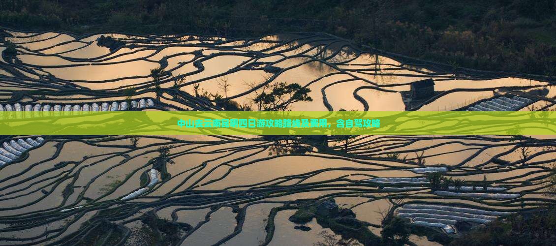 中山去云南昆明四日游
