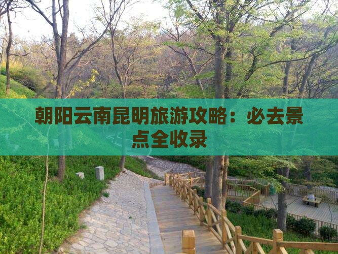 朝阳去云南昆明必去地