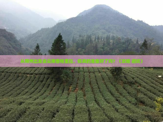 朔州去云南香格里拉景点