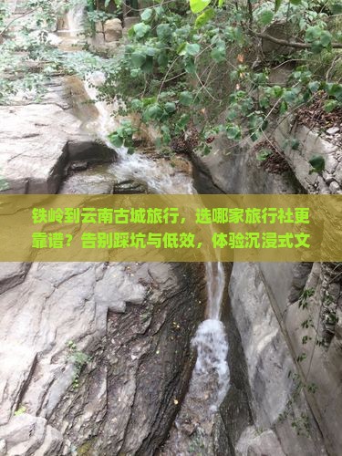 铁岭到云南古城旅行社