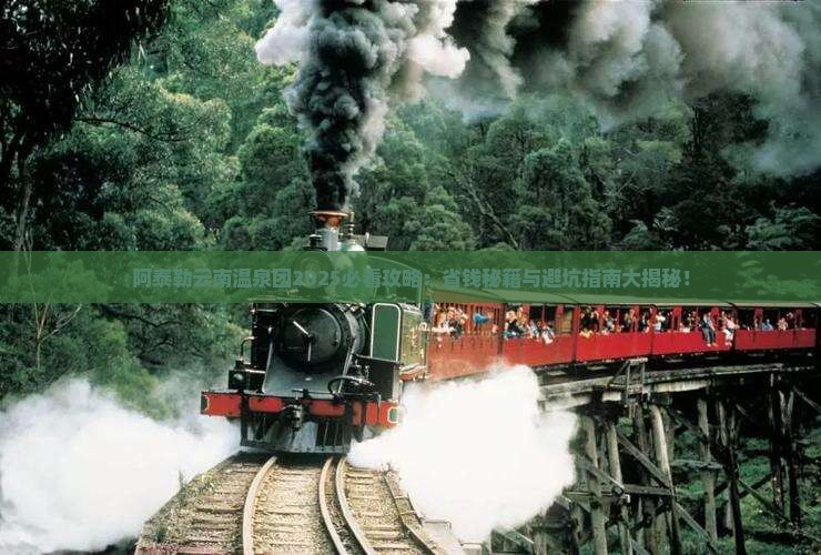 阿泰勒去云南温泉大型旅游团