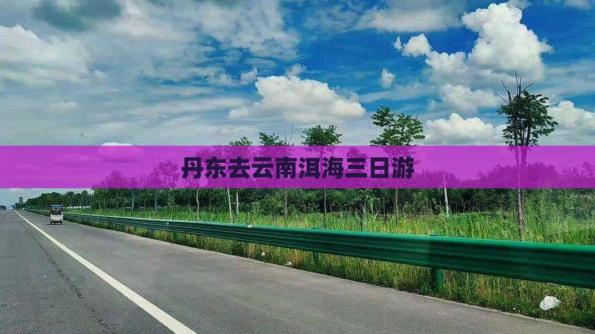 丹东去云南洱海三日游