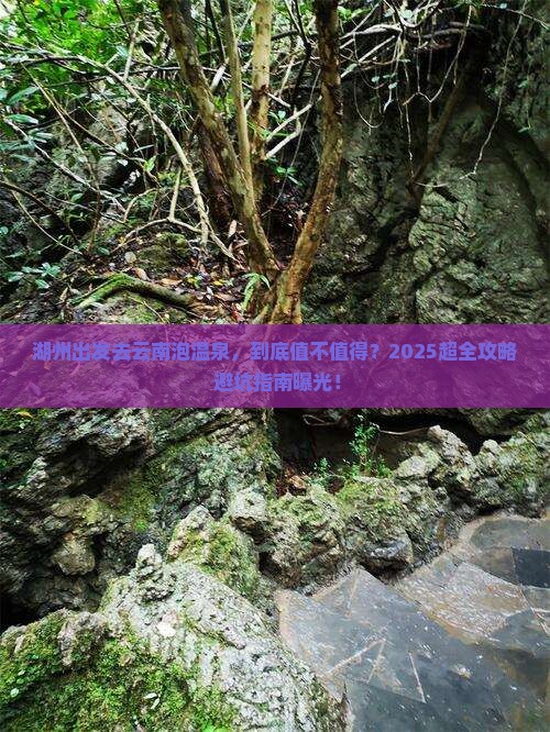 湖州到云南温泉门票
