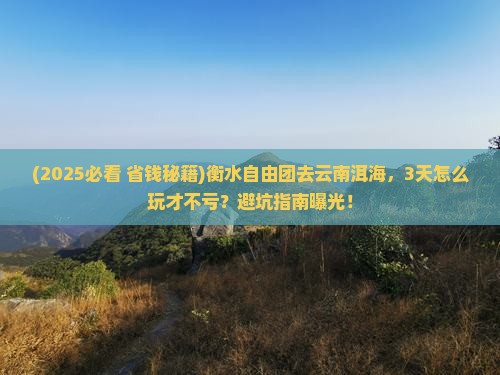 衡水去云南洱海自由团