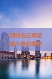 锦州去云南旅游小吃