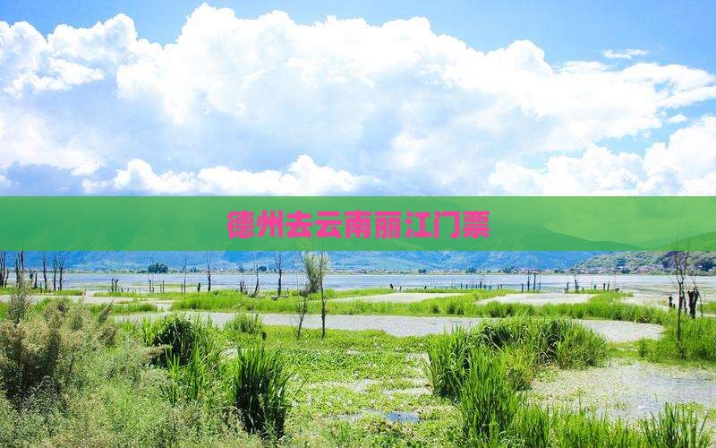 德州去云南丽江门票