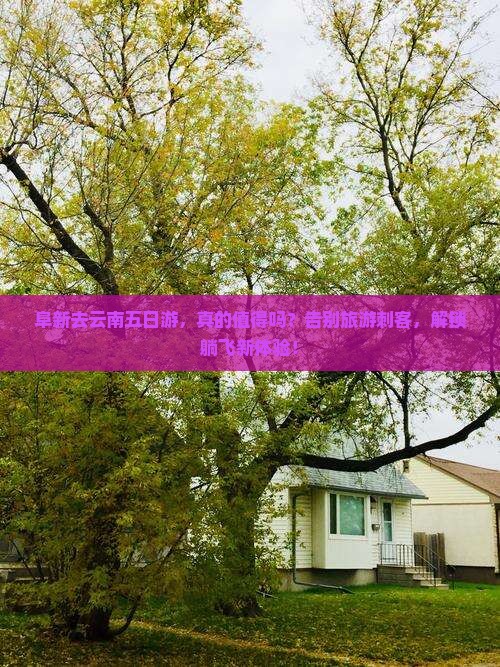 阜新去云南五日游