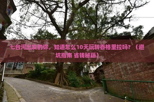 七台河到云南香格里拉大型旅游团