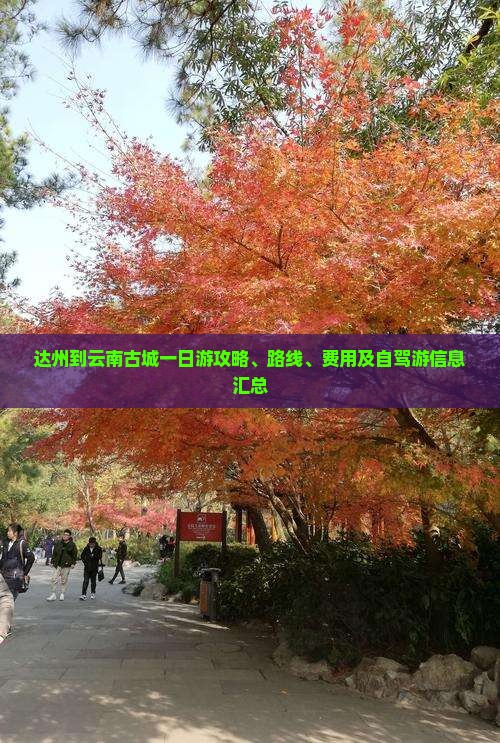 达州到云南古城一日