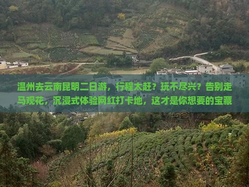 温州去云南昆明二日游