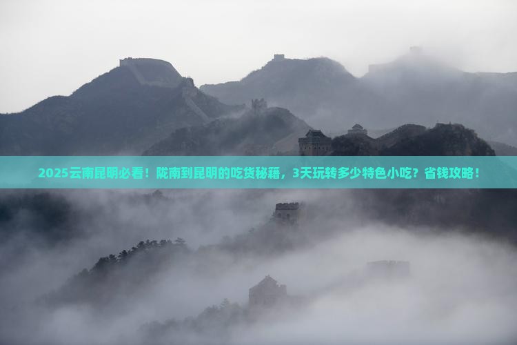 陇南到云南昆明旅游小吃