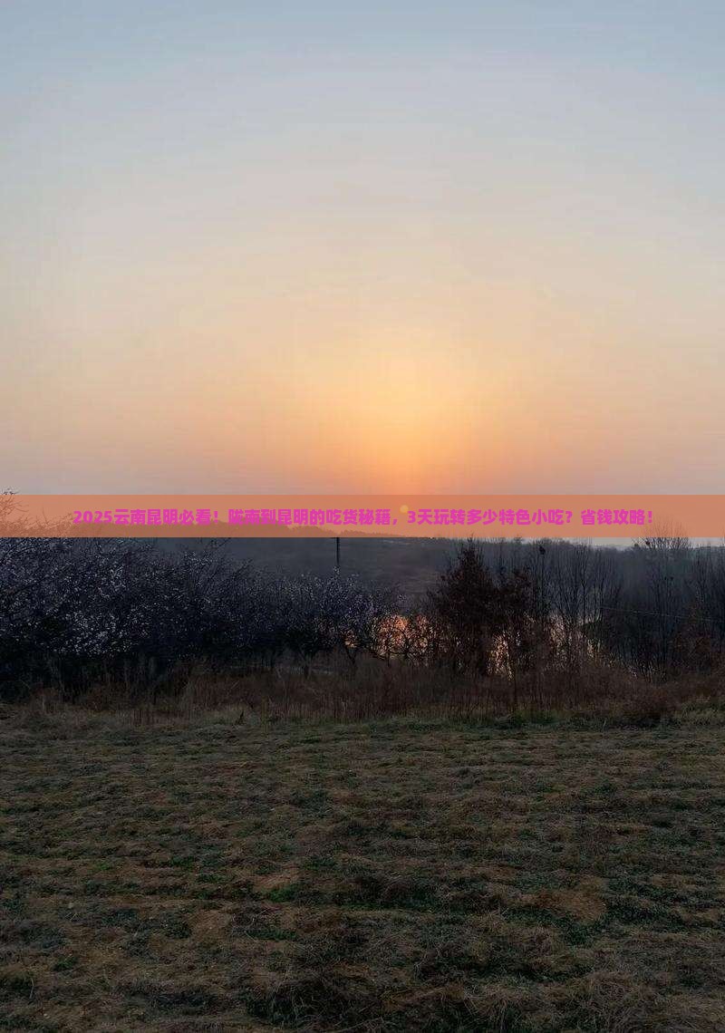 陇南到云南昆明旅游小吃