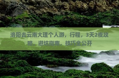 洛阳去云南大理个人游