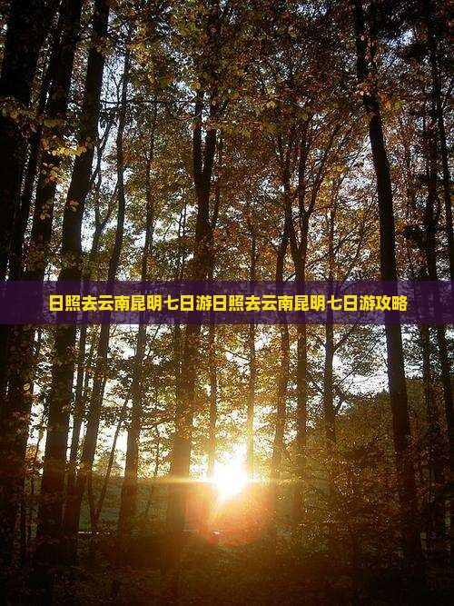 日照去云南昆明七日游