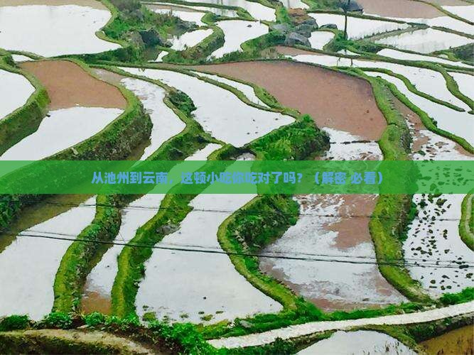 池州到云南旅游小吃