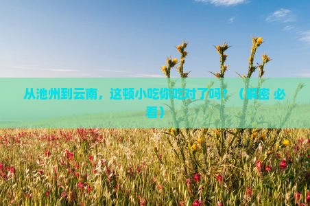 池州到云南旅游小吃