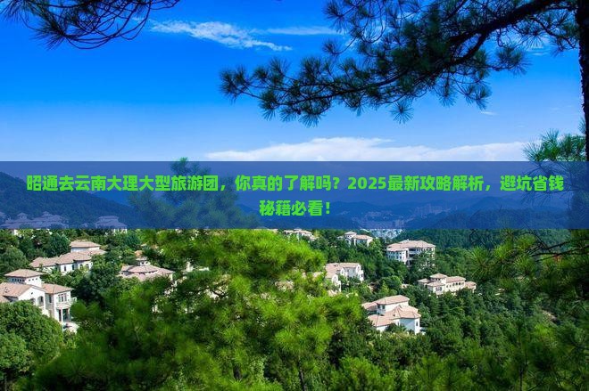 昭通去云南大理大型旅游团