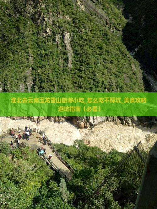 淮北去云南玉龙雪山旅游小吃