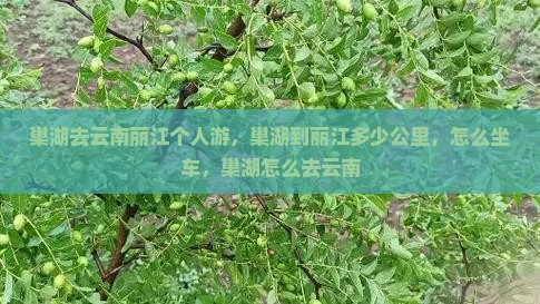 巢湖去云南丽江个人游
