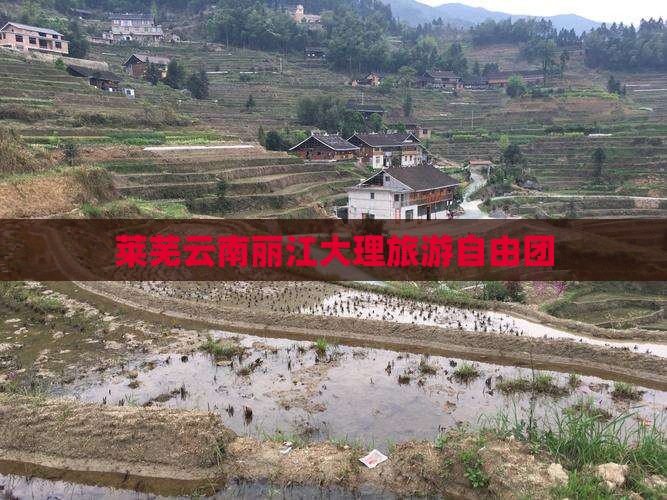 莱芜去云南丽江自由团