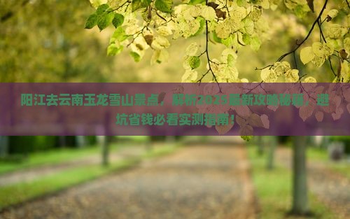 阳江去云南玉龙雪山景点