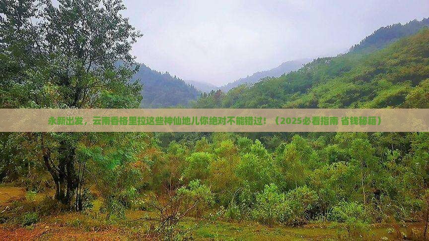 永新到云南香格里拉必去地
